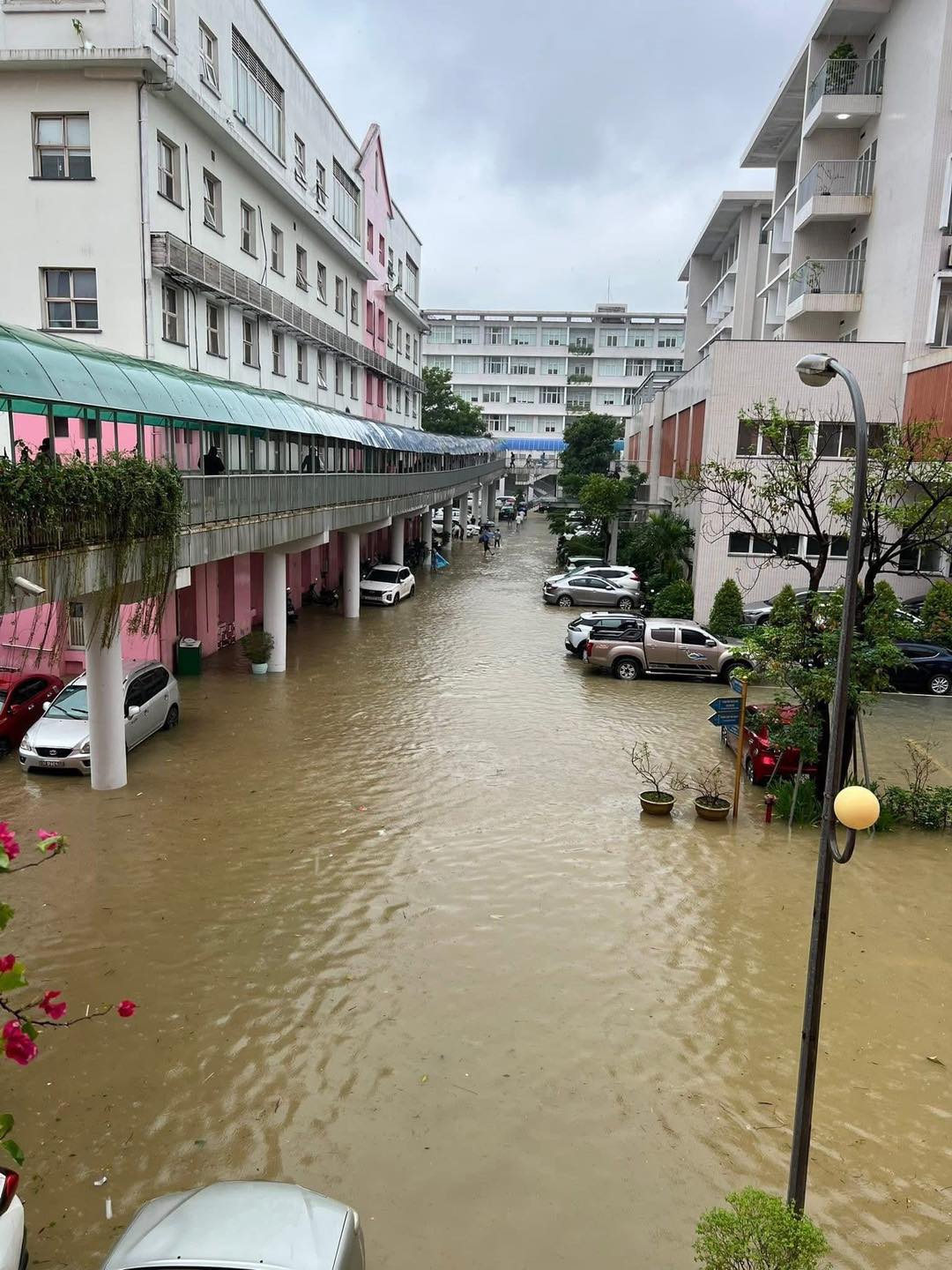 Không có mô tả ảnh.